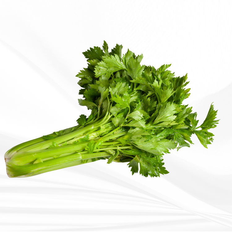 Thiết kế chưa có tên (17)