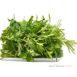 Rau ngải cứu VietGAP