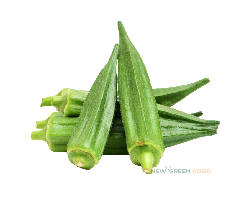 Thiết kế chưa có tên (6)