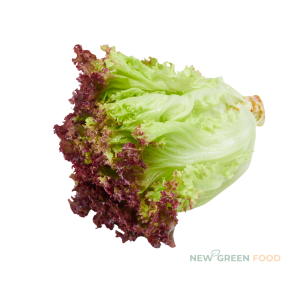 Xà lách tím VietGAP